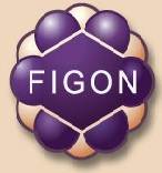 FIGON